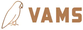 VamsConsulting